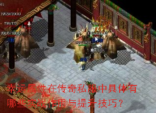 幸运属性在传奇私服中具体有哪些实战作用与提升技巧? 幸运属性在传奇私服中具体有哪些实战作用与提升技巧?