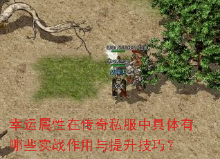 幸运属性在传奇私服中具体有哪些实战作用与提升技巧? 幸运属性在传奇私服中具体有哪些实战作用与提升技巧?