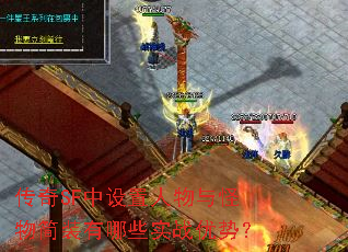 传奇SF中设置人物与怪物简装有哪些实战优势? 传奇SF中设置人物与怪物简装有哪些实战优势?