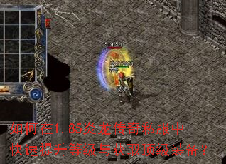 如何在1.85炎龙传奇私服中快速提升等级与获取顶级装备? 如何在1.85炎龙传奇私服中快速提升等级与获取顶级装备?