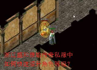 浙江盛和原始传奇私服中如何快速提升角色等级? 浙江盛和原始传奇私服中如何快速提升角色等级?