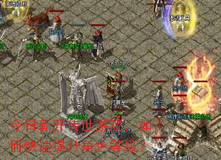 今日新开传世游戏,如何快速提升角色等级? 今日新开传世游戏,如何快速提升角色等级?