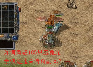 如何驾驭185只玉兔元素快速通关传奇副本? 如何驾驭185只玉兔元素快速通关传奇副本?