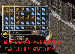 微变传奇经济流战士职业如何高效培养与资源分配? 微变传奇经济流战士职业如何高效培养与资源分配?