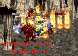 如何快速提升无赦单职业传奇新服角色等级? 如何快速提升无赦单职业传奇新服角色等级?