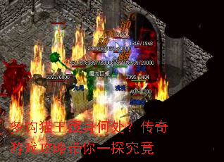 多钩猫王藏身何处?传奇游戏攻略带你一探究竟 多钩猫王藏身何处?传奇游戏攻略带你一探究竟