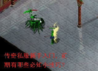 传奇私服新手入门,前期有哪些必知小技巧? 传奇私服新手入门,前期有哪些必知小技巧?