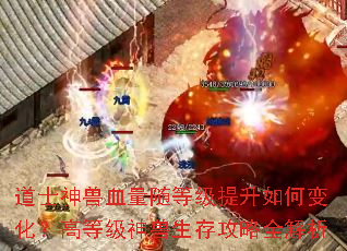 道士神兽血量随等级提升如何变化?高等级神兽生存攻略全解析 道士神兽血量随等级提升如何变化?高等级神兽生存攻略全解析
