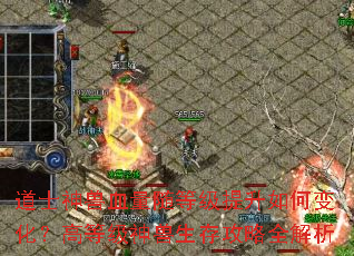道士神兽血量随等级提升如何变化?高等级神兽生存攻略全解析 道士神兽血量随等级提升如何变化?高等级神兽生存攻略全解析