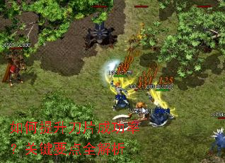 如何提升刀片成功率?关键要点全解析 如何提升刀片成功率?关键要点全解析
