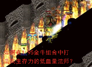 如何在1.95金牛组合中打造高生存力的低血量法师? 如何在1.95金牛组合中打造高生存力的低血量法师?