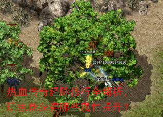 热血传奇经脉修行全解析,玩家能获得哪些属性提升? 热血传奇经脉修行全解析,玩家能获得哪些属性提升?