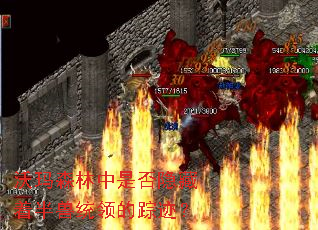 沃玛森林中是否隐藏着半兽统领的踪迹? 沃玛森林中是否隐藏着半兽统领的踪迹?