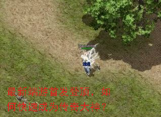 最新端游首发登顶,如何快速成为传奇大神? 最新端游首发登顶,如何快速成为传奇大神?