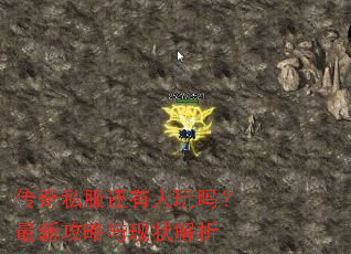 传奇私服还有人玩吗?最新攻略与现状解析 传奇私服还有人玩吗?最新攻略与现状解析