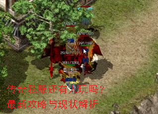 传奇私服还有人玩吗?最新攻略与现状解析 传奇私服还有人玩吗?最新攻略与现状解析