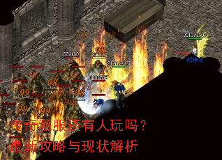 传奇私服还有人玩吗?最新攻略与现状解析 传奇私服还有人玩吗?最新攻略与现状解析
