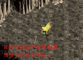 如何快速提升梦想家园传奇中的角色等级? 如何快速提升梦想家园传奇中的角色等级?
