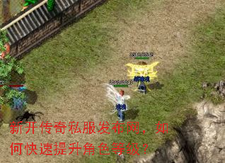 新开传奇私服发布网,如何快速提升角色等级? 新开传奇私服发布网,如何快速提升角色等级?