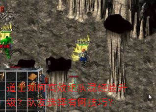 道士如何高效组队混经验升级?队友选择有何技巧? 道士如何高效组队混经验升级?队友选择有何技巧?