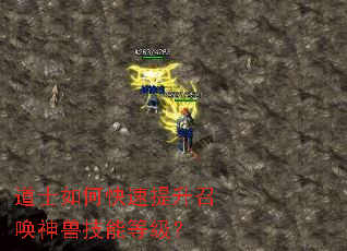 道士如何快速提升召唤神兽技能等级? 道士如何快速提升召唤神兽技能等级?