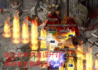 道士如何快速提升召唤神兽技能等级? 道士如何快速提升召唤神兽技能等级?