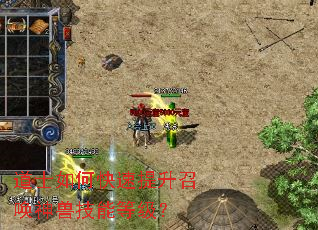 道士如何快速提升召唤神兽技能等级? 道士如何快速提升召唤神兽技能等级?
