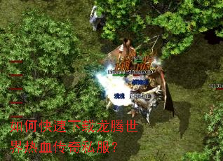 如何快速下载龙腾世界热血传奇私服? 如何快速下载龙腾世界热血传奇私服?