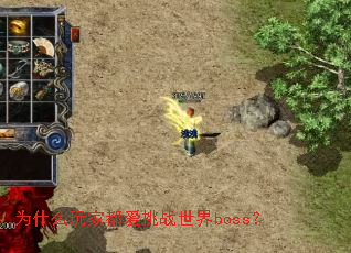 为什么玩家都爱挑战世界boss? 为什么玩家都爱挑战世界boss?