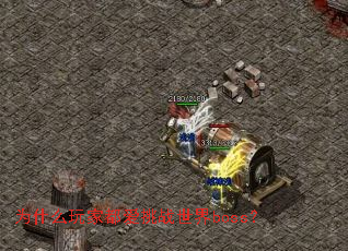 为什么玩家都爱挑战世界boss? 为什么玩家都爱挑战世界boss?