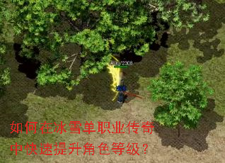 如何在冰雪单职业传奇中快速提升角色等级? 如何在冰雪单职业传奇中快速提升角色等级?