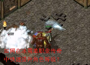 如何在冰雪单职业传奇中快速提升角色等级? 如何在冰雪单职业传奇中快速提升角色等级?