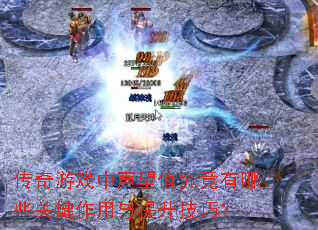 传奇游戏中声望值究竟有哪些关键作用与提升技巧? 传奇游戏中声望值究竟有哪些关键作用与提升技巧?