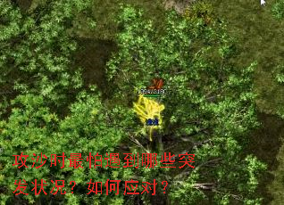 攻沙时最怕遇到哪些突发状况?如何应对? 攻沙时最怕遇到哪些突发状况?如何应对?