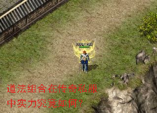 道法组合在传奇私服中实力究竟如何? 道法组合在传奇私服中实力究竟如何?