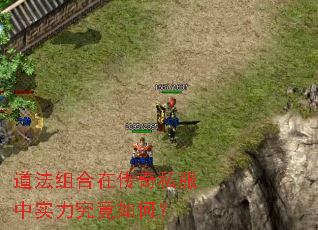 道法组合在传奇私服中实力究竟如何? 道法组合在传奇私服中实力究竟如何?