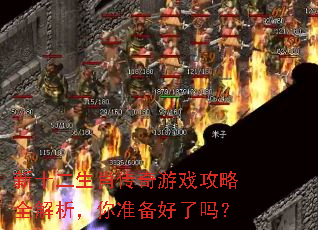 新十二生肖传奇游戏攻略全解析,你准备好了吗? 新十二生肖传奇游戏攻略全解析,你准备好了吗?