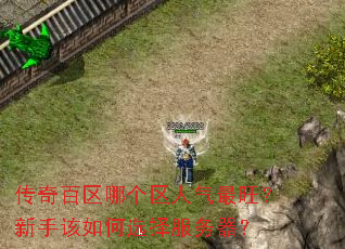 传奇百区哪个区人气最旺?新手该如何选择服务器? 传奇百区哪个区人气最旺?新手该如何选择服务器?