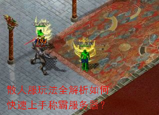 散人服玩法全解析如何快速上手称霸服务器? 散人服玩法全解析如何快速上手称霸服务器?