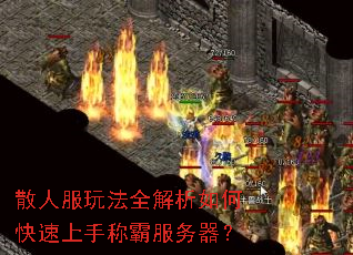 散人服玩法全解析如何快速上手称霸服务器? 散人服玩法全解析如何快速上手称霸服务器?