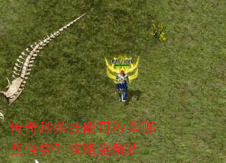 传奇秒杀技能可秒杀哪些怪物?攻略全解析 传奇秒杀技能可秒杀哪些怪物?攻略全解析