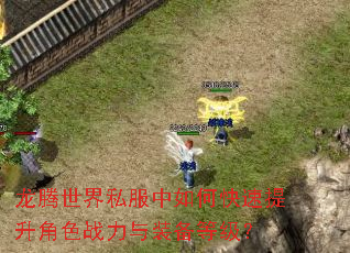 龙腾世界私服中如何快速提升角色战力与装备等级? 龙腾世界私服中如何快速提升角色战力与装备等级?