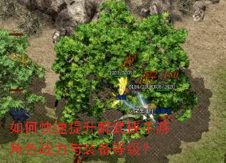 如何快速提升醉武侠手游角色战力与装备等级? 如何快速提升醉武侠手游角色战力与装备等级?