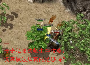 传奇私服法师生存攻略:仅靠魔法盾真的足够吗? 传奇私服法师生存攻略:仅靠魔法盾真的足够吗?