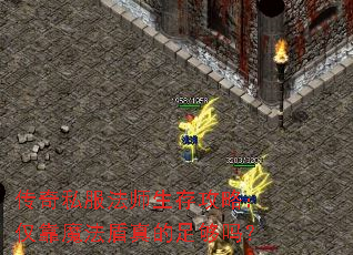 传奇私服法师生存攻略:仅靠魔法盾真的足够吗? 传奇私服法师生存攻略:仅靠魔法盾真的足够吗?