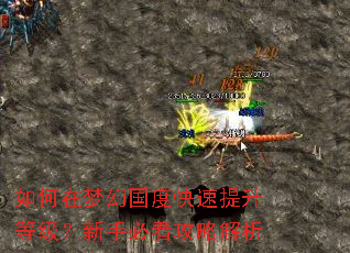 如何在梦幻国度快速提升等级?新手必看攻略解析 如何在梦幻国度快速提升等级?新手必看攻略解析