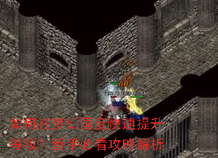 如何在梦幻国度快速提升等级?新手必看攻略解析 如何在梦幻国度快速提升等级?新手必看攻略解析
