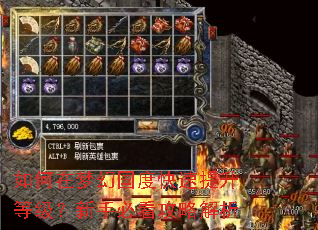 如何在梦幻国度快速提升等级?新手必看攻略解析 如何在梦幻国度快速提升等级?新手必看攻略解析