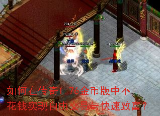 如何在传奇1.76金币版中不花钱实现自由交易与快速致富? 如何在传奇1.76金币版中不花钱实现自由交易与快速致富?