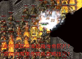 如何获取高清玫瑰传奇图片?游戏内有哪些实用攻略技巧? 如何获取高清玫瑰传奇图片?游戏内有哪些实用攻略技巧?
